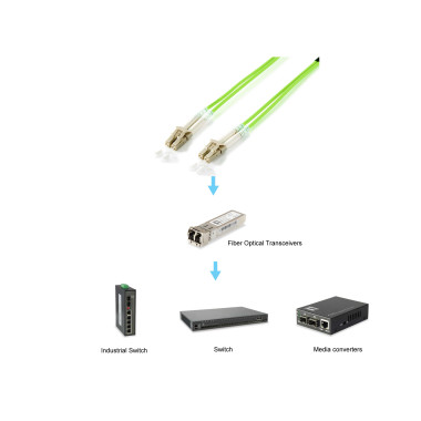 Equip 255713 câble InfiniBand et à fibres optiques 3 m LC Vert