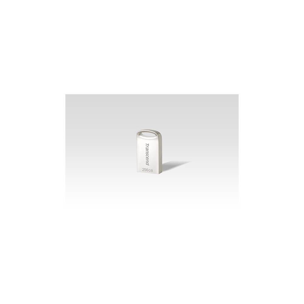 Transcend JetFlash 710S lecteur USB flash 256 Go USB Type-A 3.2 Gen 1 (3.1 Gen 1) Argent