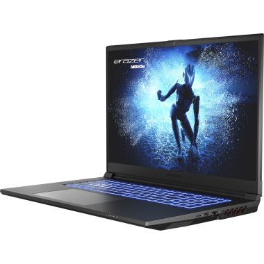 Erazer Defender P40 Intel® Core™ i7 i7-13700HX Ordinateur portable 43,9 cm (17.3") Quad HD 16 Go DDR5-SDRAM 1 To SSD NVIDIA