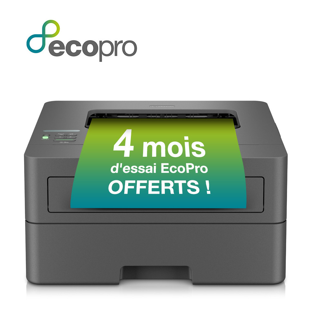 Brother HL-L2400DWE imprimante laser 1200 x 1200 DPI A4 Wifi