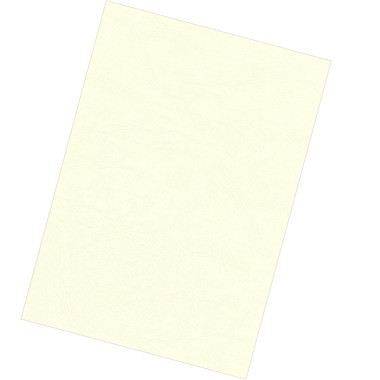 Fellowes 5370004 matériel de reliure A4 Papier Ivoire 100 pièce(s)