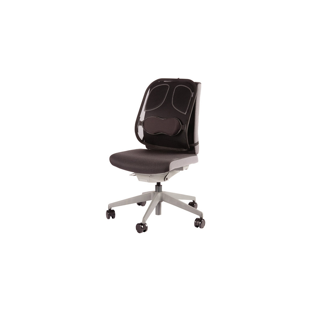 Fellowes Support Dorsal Maille Professional Series