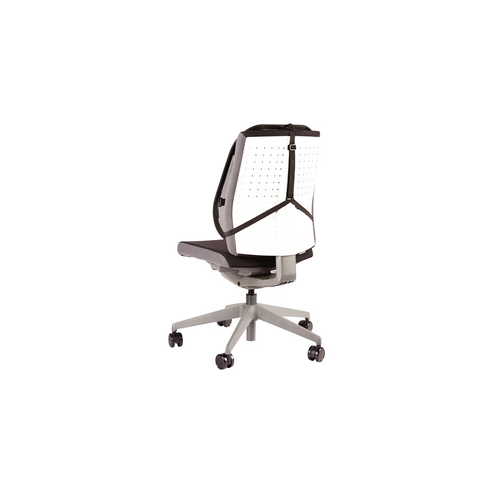 Fellowes Support Dorsal Maille Professional Series