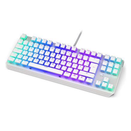 ENDORFY TKL clavier Jouer USB Allemand Blanc