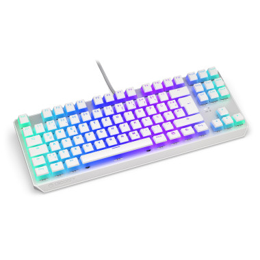ENDORFY TKL clavier Jouer USB Allemand Blanc