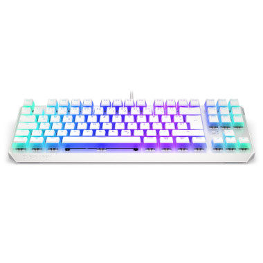 ENDORFY TKL clavier Jouer USB Allemand Blanc