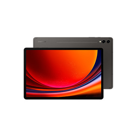 Samsung Galaxy Tab S9+ SM-X810N Qualcomm Snapdragon 256 Go 31,5 cm (12.4") 12 Go Wi-Fi 6 (802.11ax) Android 13 Graphite