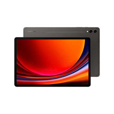 Samsung Galaxy Tab S9+ SM-X810N Qualcomm Snapdragon 256 Go 31,5 cm (12.4") 12 Go Wi-Fi 6 (802.11ax) Android 13 Graphite