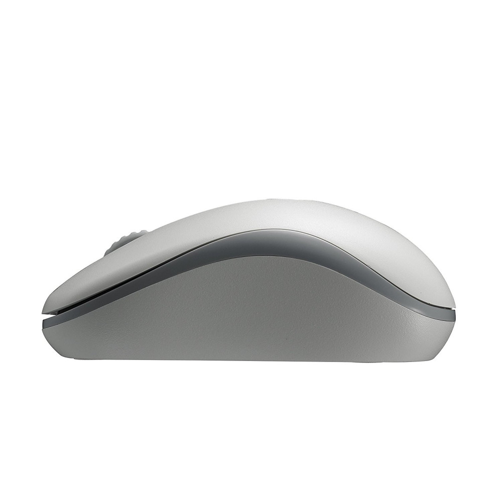 Rapoo M10 Plus souris Bureau Ambidextre RF sans fil Optique 1000 DPI