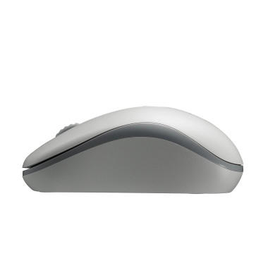 Rapoo M10 Plus souris Bureau Ambidextre RF sans fil Optique 1000 DPI