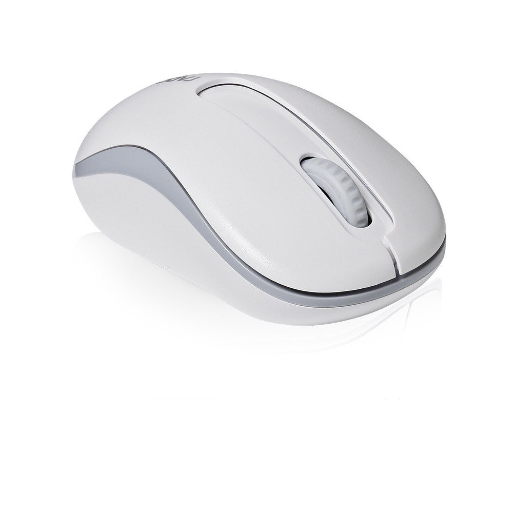 Rapoo M10 Plus souris Bureau Ambidextre RF sans fil Optique 1000 DPI