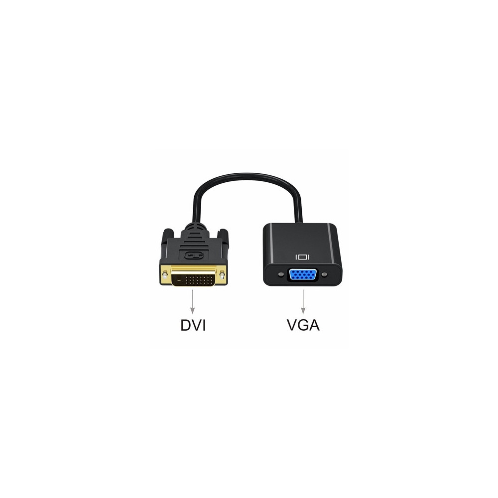 CONVI039222 Conv. DVI-D (24+1) vers VGA M/F