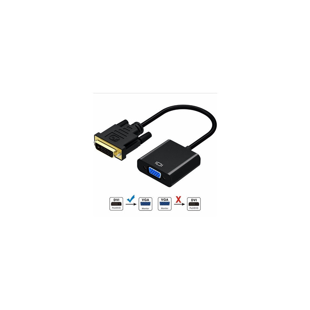 CONVI039222 Conv. DVI-D (24+1) vers VGA M/F