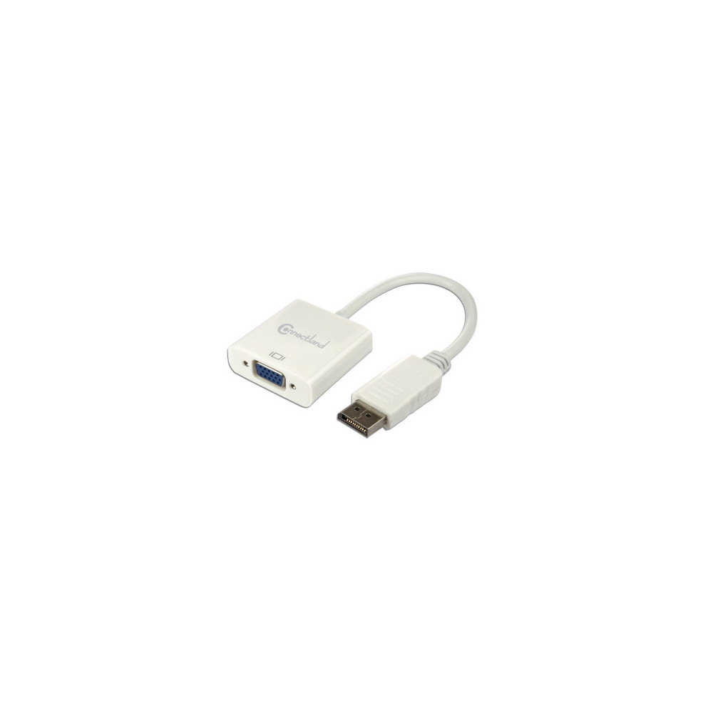 CONVI035885 0301062 Adaptateur DisplayPort vers VGA