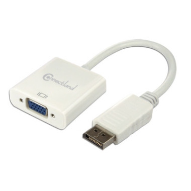 CONVI035885 0301062 Adaptateur DisplayPort vers VGA