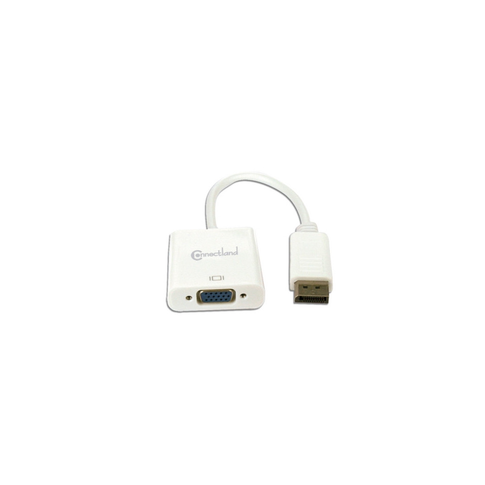 CONVI035885 0301062 Adaptateur DisplayPort vers VGA