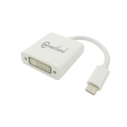 AD-USB TYPE-C-TO-DVI-F