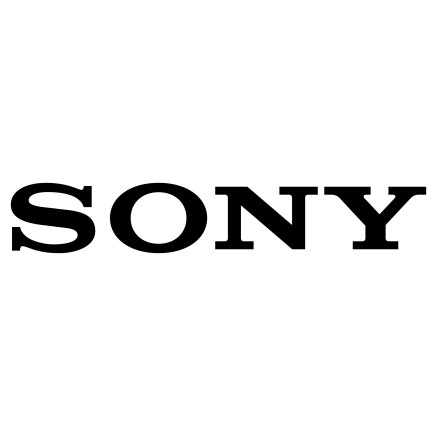 Sony TDM-PC1Y licence et mise à jour de logiciel 1 licence(s) Abonnement 1 année(s) 12 mois