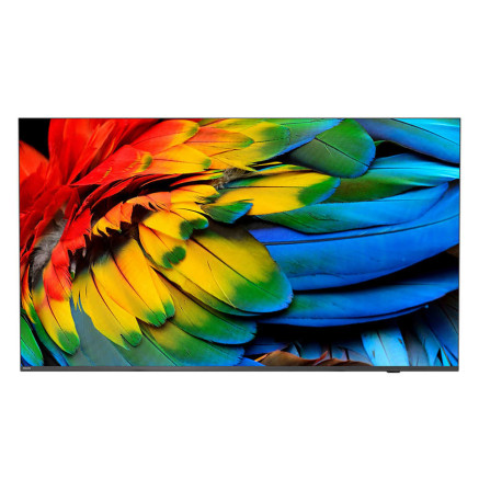 Philips 50HFL6214U 127 cm (50") 4K Ultra HD Smart TV Wifi Anthracite 400 cd m² Écran enroulable
