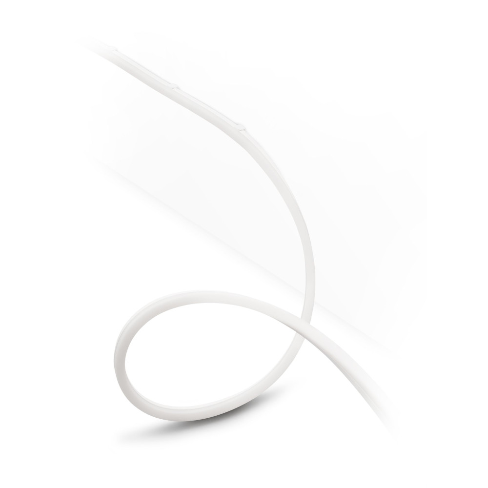 Philips Hue White and Color ambiance Lightstrip extérieur 2 mètres