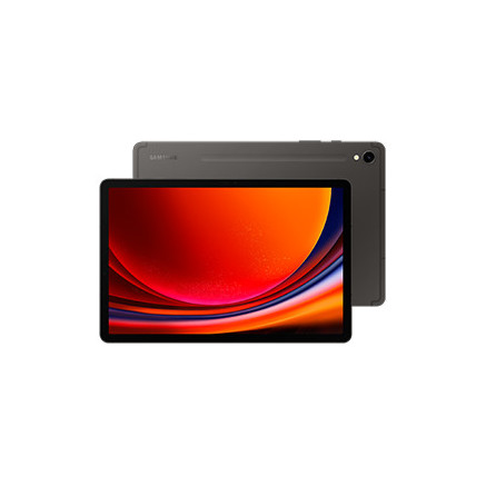 Samsung Galaxy Tab S9 SM-X716B 5G Qualcomm Snapdragon 256 Go 27,9 cm (11") 12 Go Wi-Fi 6 (802.11ax) Android 13 Graphite