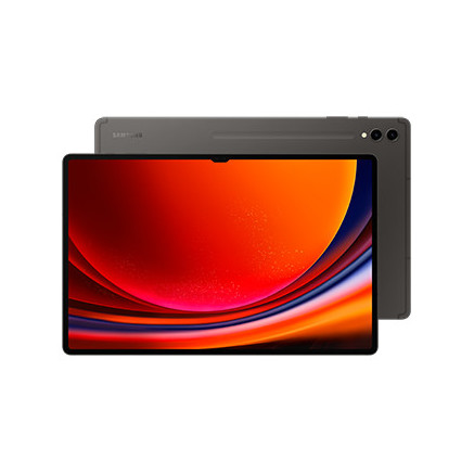 Samsung Galaxy Tab S9 Ultra SM-X916B 5G Qualcomm Snapdragon LTE-TDD & LTE-FDD 512 Go 37,1 cm (14.6") 12 Go Wi-Fi 6 (802.11ax)