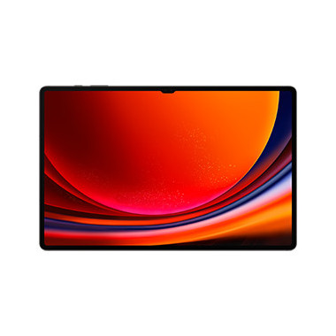 Samsung Galaxy Tab S9 Ultra SM-X916B 5G Qualcomm Snapdragon LTE-TDD & LTE-FDD 512 Go 37,1 cm (14.6") 12 Go Wi-Fi 6 (802.11ax)