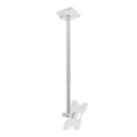 ERAEC024376 Support Plafond orientable et Inclinable Silver (Charge15Kg)