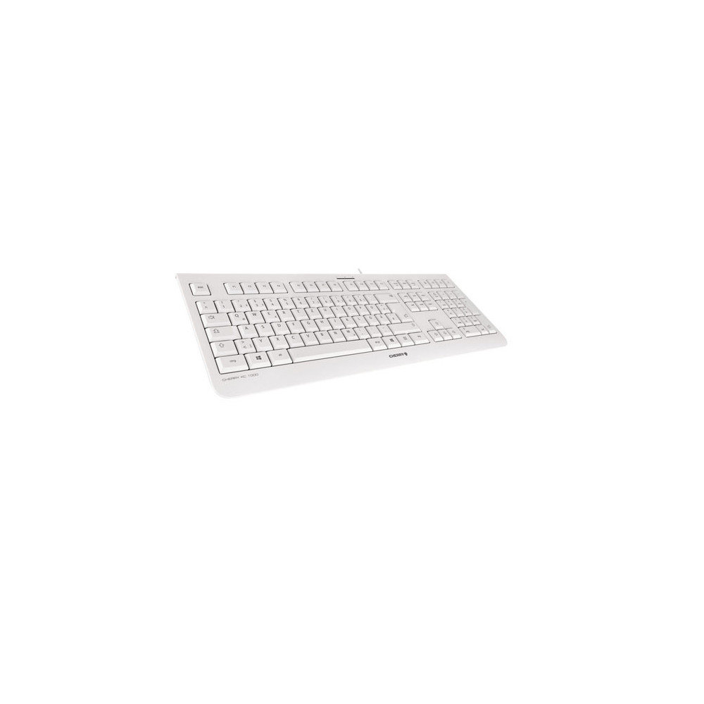 CHERRY KC 1000 clavier Universel USB AZERTY Belge Gris