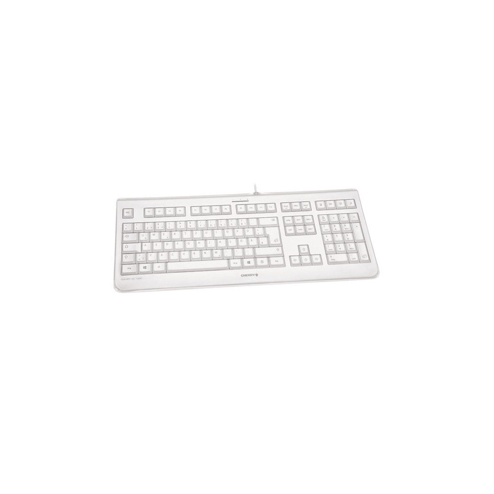 CHERRY KC 1068 clavier USB Suisse Gris