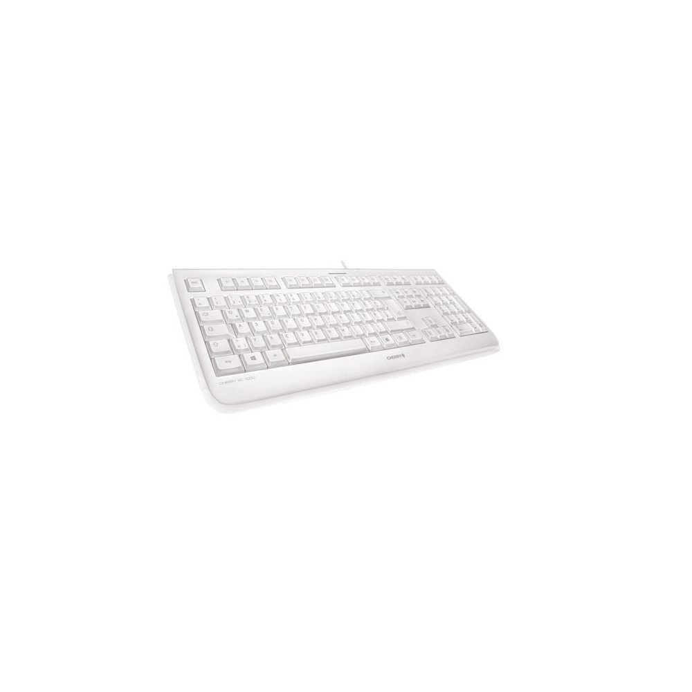 CHERRY KC 1068 clavier USB Suisse Gris