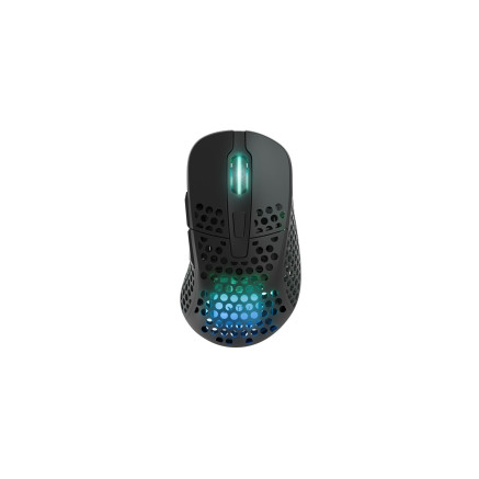 CHERRY XTRFY M4 RGB souris Jouer Droitier RF Wireless + USB Type-C Optique 19000 DPI