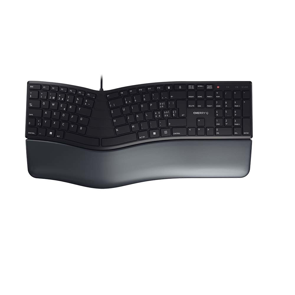 CHERRY KC 4500 ERGO clavier Bureau USB QWERTZ Suisse Noir CHERRY KC 4500 ERGO clavier Bureau USB QWERTZ Suisse Noir