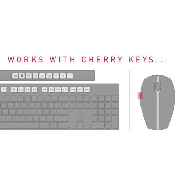 CHERRY DW 5100 clavier Souris incluse Maison RF sans fil Tchèque, Slovaque Noir