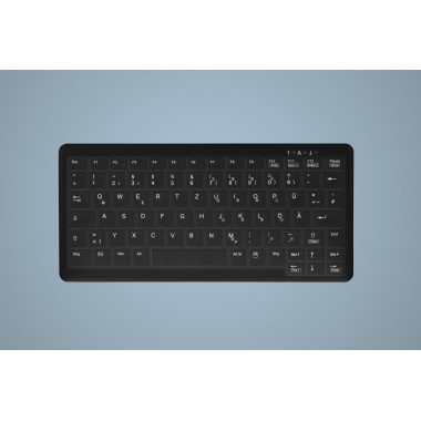 Active Key AK-C4110 clavier Industriel USB Allemand Noir