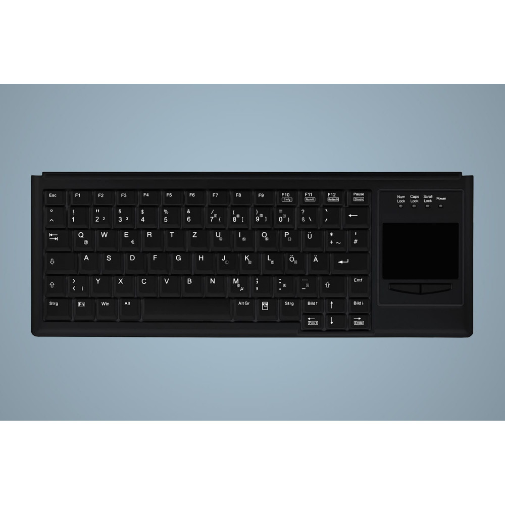 Active Key AK-4400-G clavier Universel PS 2 QWERTZ Allemand Noir