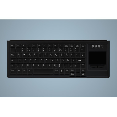 Active Key AK-4400-G clavier Universel PS 2 QWERTZ Allemand Noir