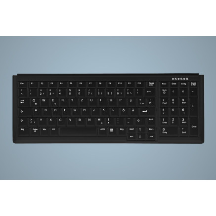Active Key АК-7000 clavier Industriel PS 2 QWERTZ Allemand Noir