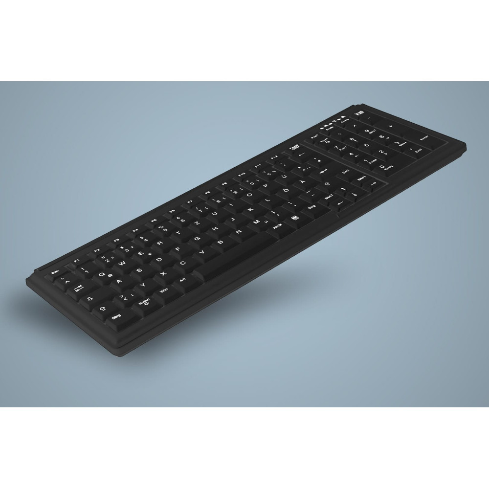 Active Key АК-7000 clavier Industriel PS 2 QWERTZ Allemand Noir