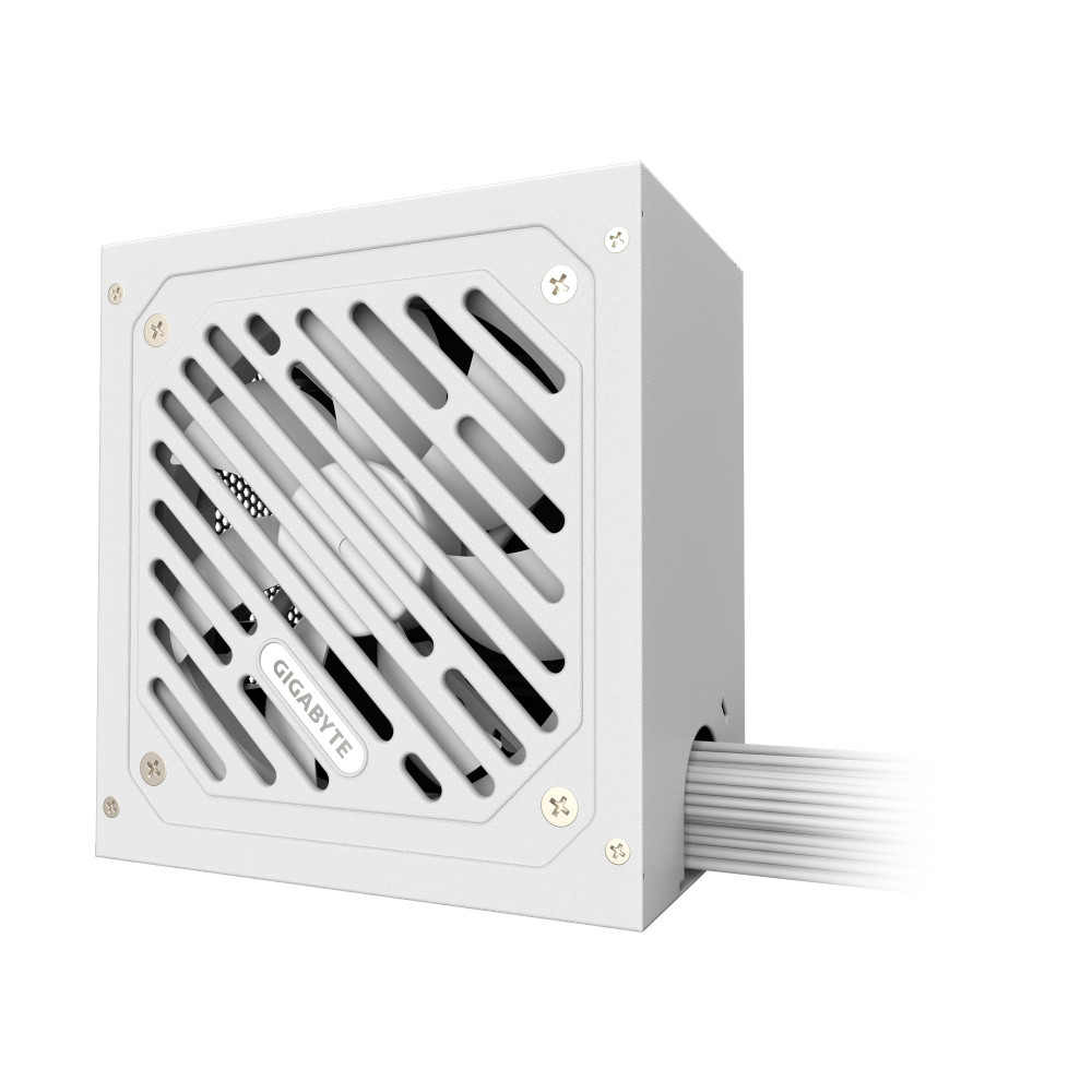 GIGABYTE P550SS ICE unité d'alimentation d'énergie 550 W 20+4 pin ATX ATX Blanc