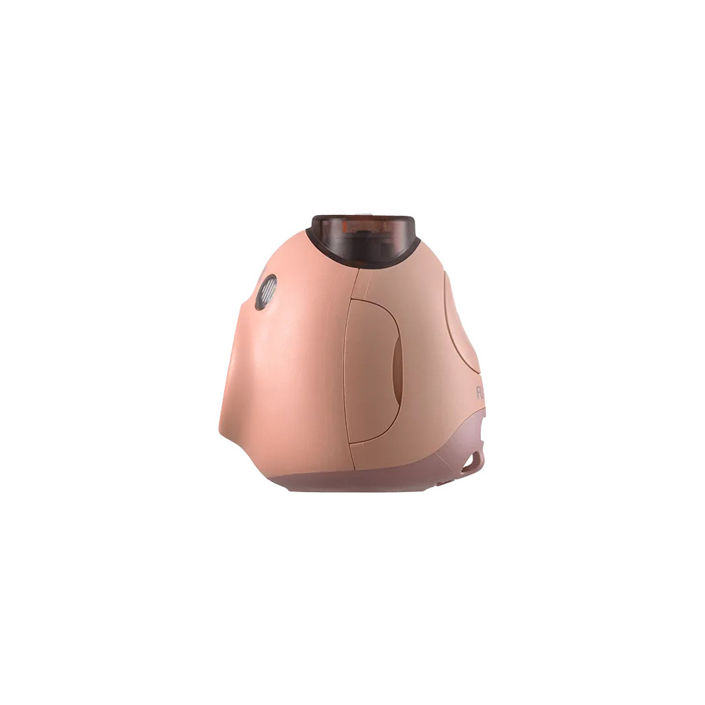 Fujifilm Pal 1 5" 2560 x 1920 pixels 2560 x 1920 mm CMOS Rose