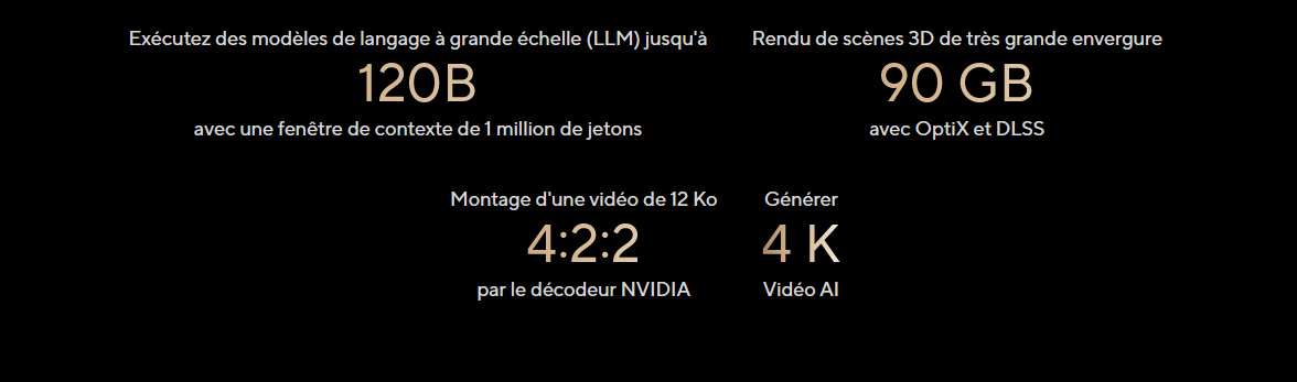 LLM jusqu'à 120B • 90 GB avec OptiX et DLSS • Montage video 12Lo 4:2:2 • Video IA 4K
