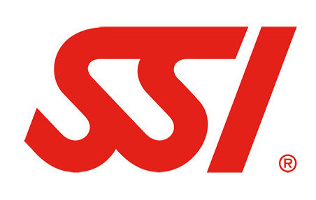 SSI