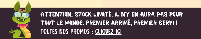 Attention, stock limité. Il n’y en aura pas pour tout le monde. premier arrivé, premier servi ! Retrouvez nos soldes monstrueuses ECP 2025 sur notre site web : www.europ-computer.com